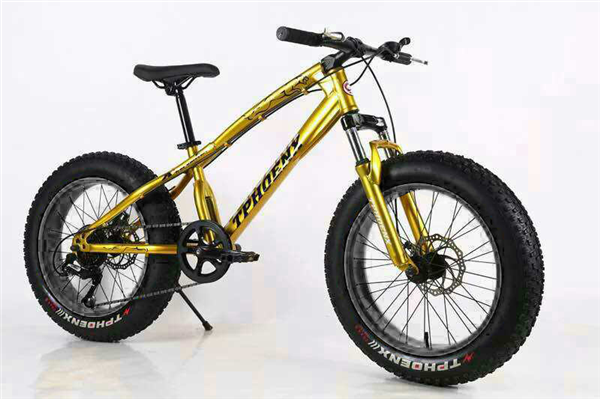 Vivatoys - ВЕЛОБАЙК. Фэтбайк TPHOENX 24"21СК.Shimano 2D
